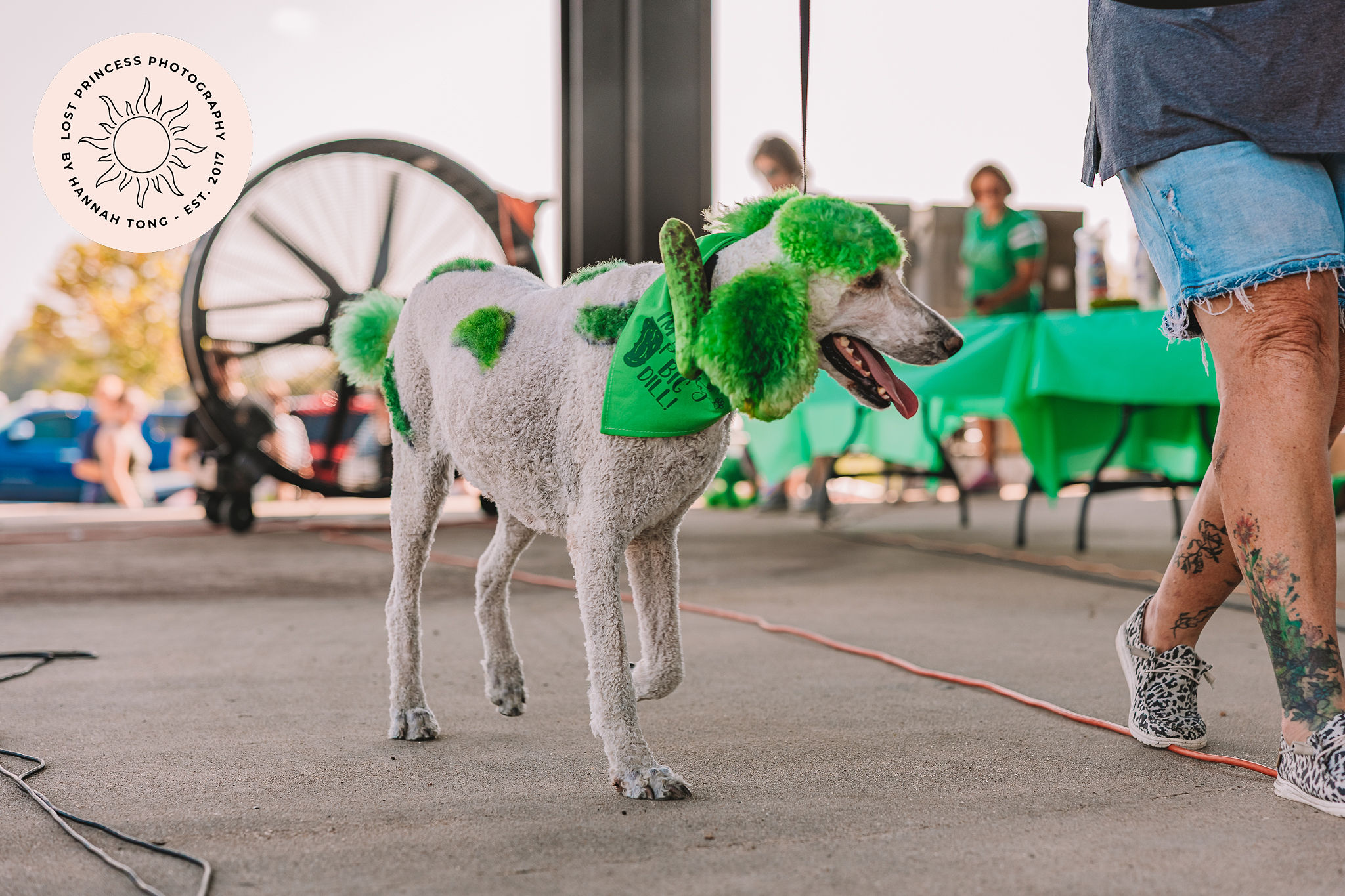 Dress Your Pet Like a Pickle Competition